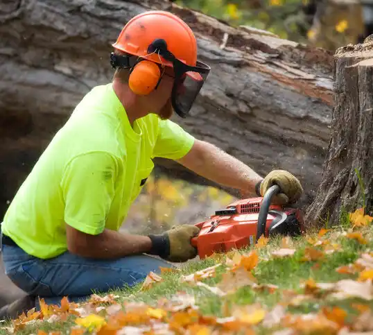 tree services Pray